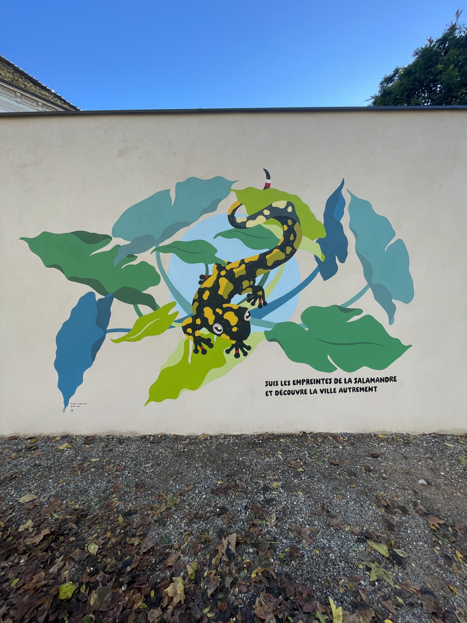 Fresque parcours Salamandre 