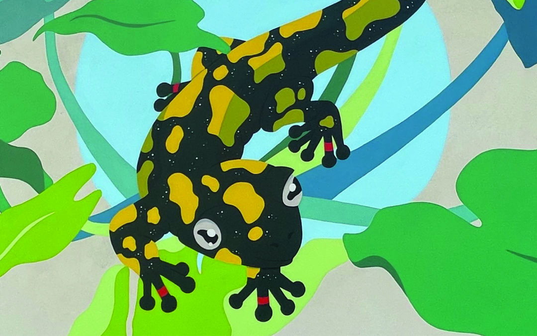 Parcours de la Salamandre