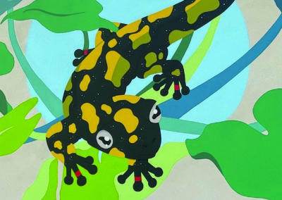 Parcours de la Salamandre